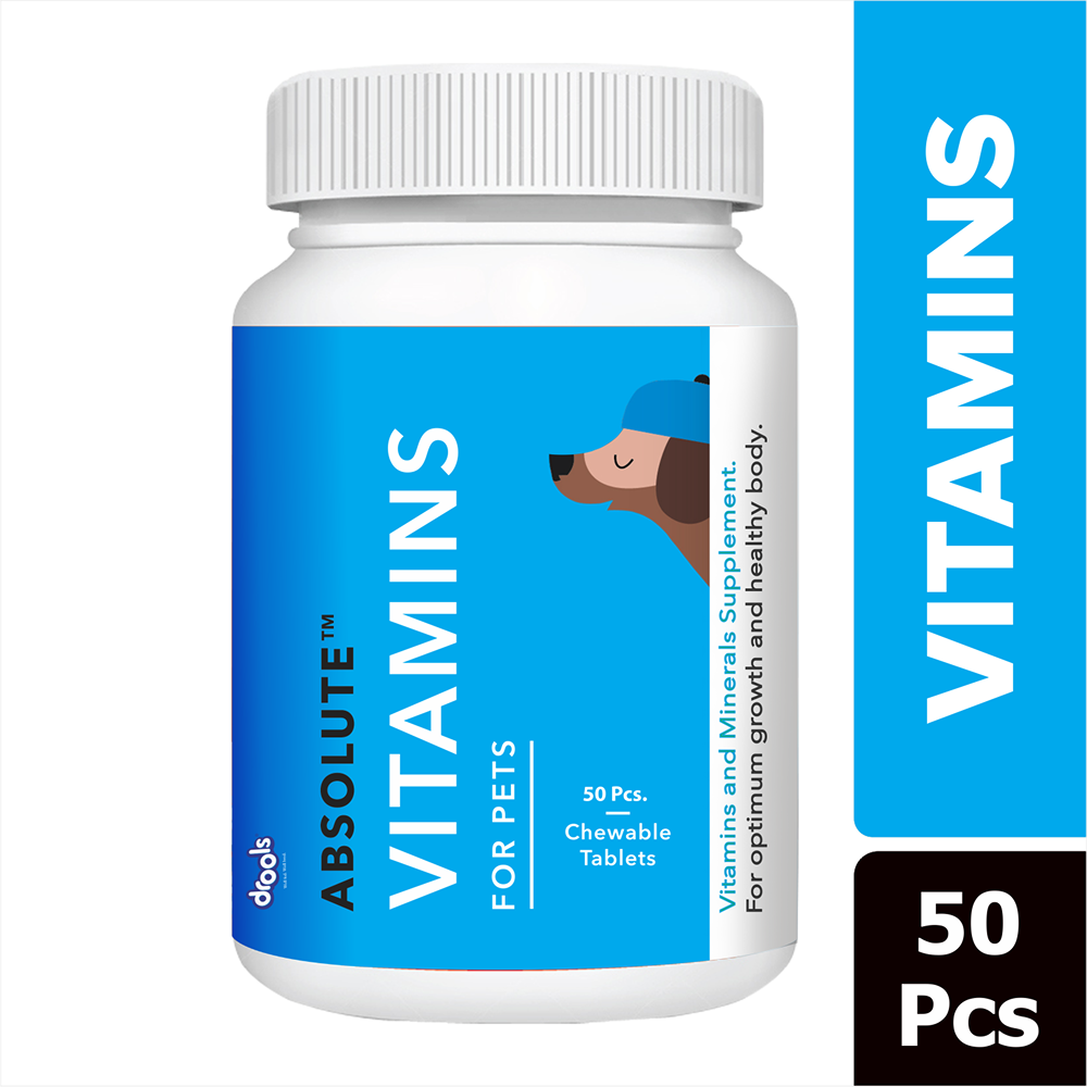 Drools Absolute Vitamin Supplement Tablets for Dogs Rewards Dogs-Health & Wellness Drools 50pcs
