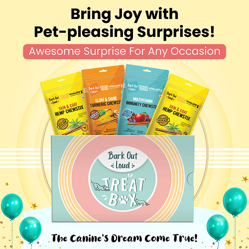 Bark Out Loud by Vivaldis Prefect Gifting Treat Box for Dogs