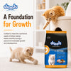 Drools Real Chicken Kitten Dry Food Cats- Dry food Drools