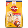 Pedigree Chicken and Vegetables Adult Dog Dry Food