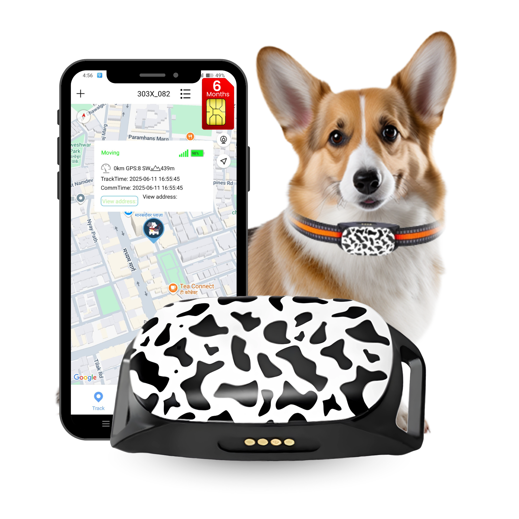 FeTaca G61 Smart 4G GPS Waterproof Collar Tracker with 12months Free Tracking & App Subscription for Dogs and Cats (White) Both-Collar, Leashes, harnesses FeTaca Dropship Free Size