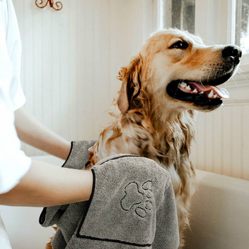 Talking Dog Club Quick Dry Towel for Dogs and Cats (Grey)