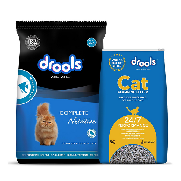 Drools Ocean Fish Adult Cat Dry Food