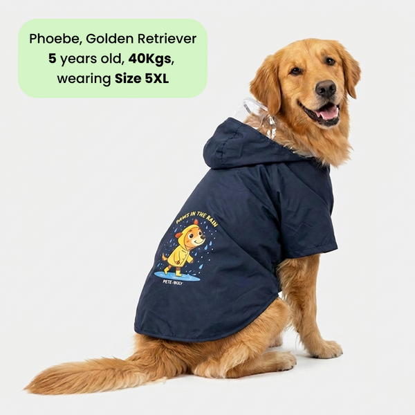 Pets Way Mistiq Coal Paw In The Rain Raincoat for Dogs
