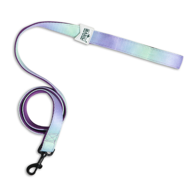 Basil Padded Leash for Dogs (Purple/Blue)