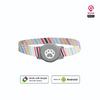 Mitag Go Anti Loss Device with Collar for Cats (Grey) | Android Cats-Collar, Leashes, harnesses Mitag Dropship Standard