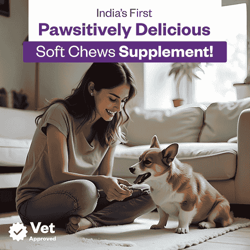 TailsAlive Skin & Coat Soft Chews Supplement for Dogs