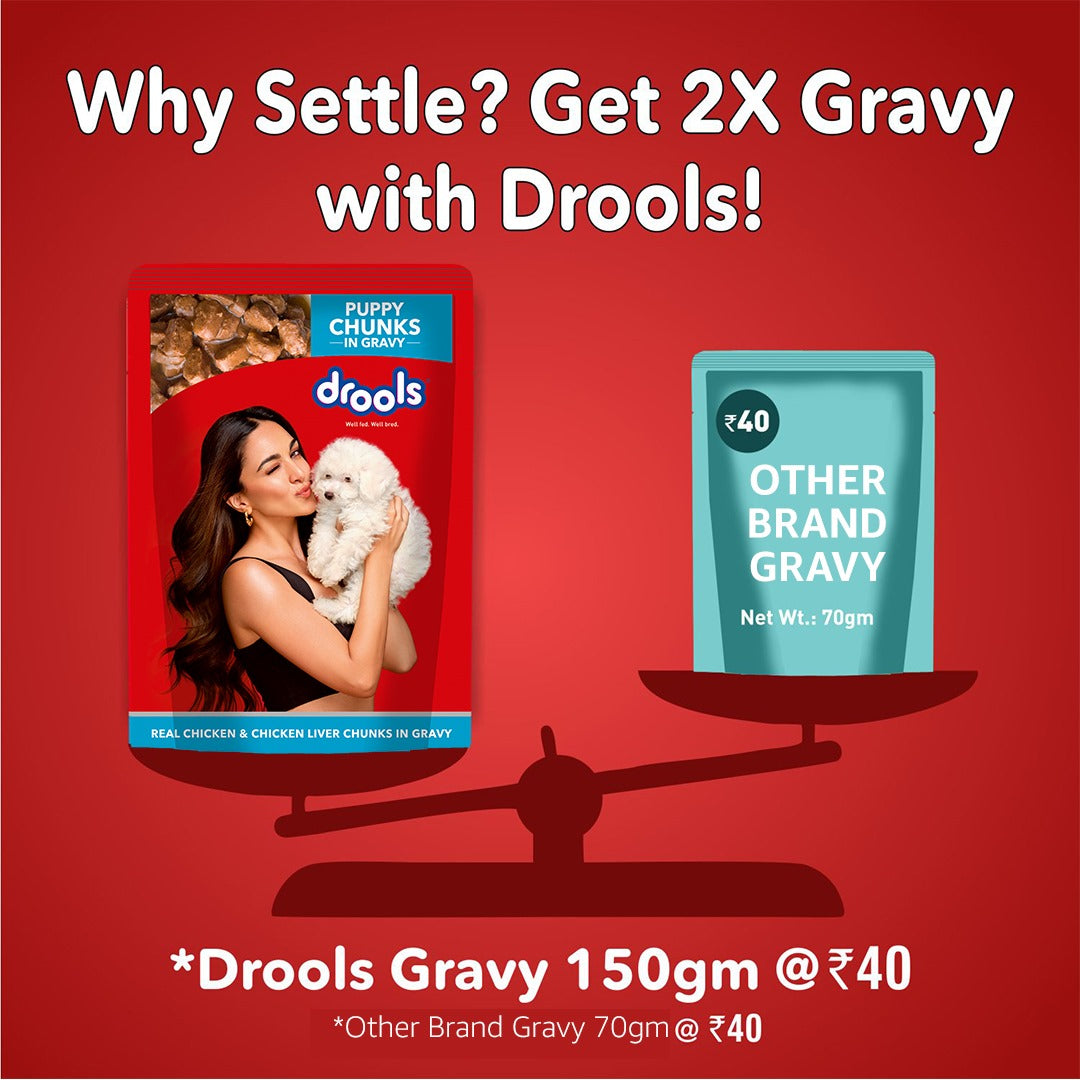 Drools Real Chicken & Chicken Liver Chunks in Gravy Puppy Dog Wet Food Dogs-Wet Food Drools
