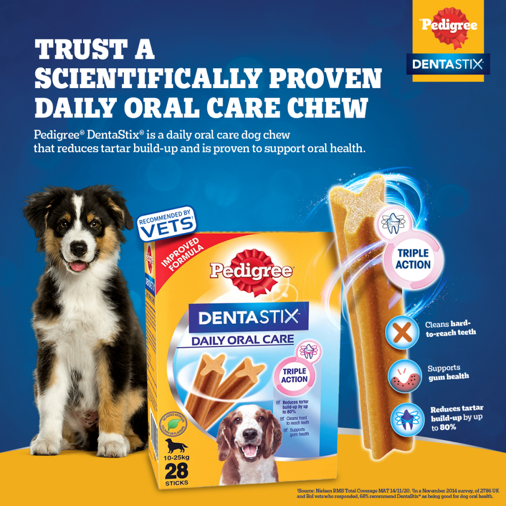 Pedigree Dentastix Oral Care for Adult (Medium Breed of 10 to 25 kg) Dog Treats (Limited Shelf Life))