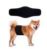KUTKUT Diapers for Male Dogs (Black) Dogs-Health & Wellness KUTKUT Dropship