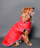 Pet Set Go Wind Sheeter Jackets for Dogs (Red) Dogs-Clothing & Accessories Pet Set Go Dropship 10