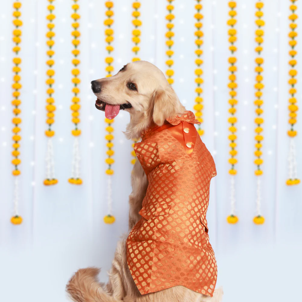 Pet Set Go Kurta with Bowtie for Dogs (Orange) Dogs-Clothing & Accessories Pet Set Go Dropship 16