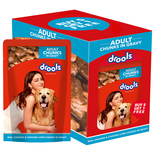 Drools Real Chicken & Chicken Liver Chunks in Gravy Adult Dog Wet Food
