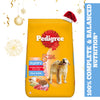 Pedigree Meat & Milk and Chicken Chunks in Gravy Puppy Dry and Wet Food Combo Exclusive Combo Pedigree