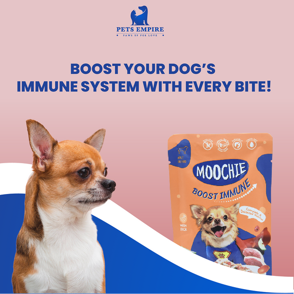 Moochie Boost Immune Casserole with Duck Gravy Adult Dog Wet Food