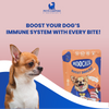 Moochie Boost Immune Casserole with Duck Gravy Adult Dog Wet Food Dogs-Wet Food Moochie