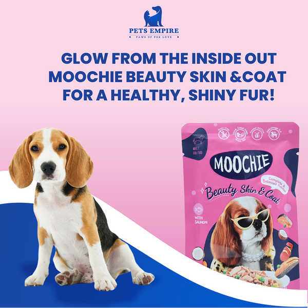 Moochie Beauty Skin and Coat Casserole with Salmon Gravy Adult Dog Wet Food
