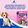 Moochie Beauty Skin and Coat Casserole with Salmon Gravy Adult Dog Wet Food Dogs-Wet Food Moochie