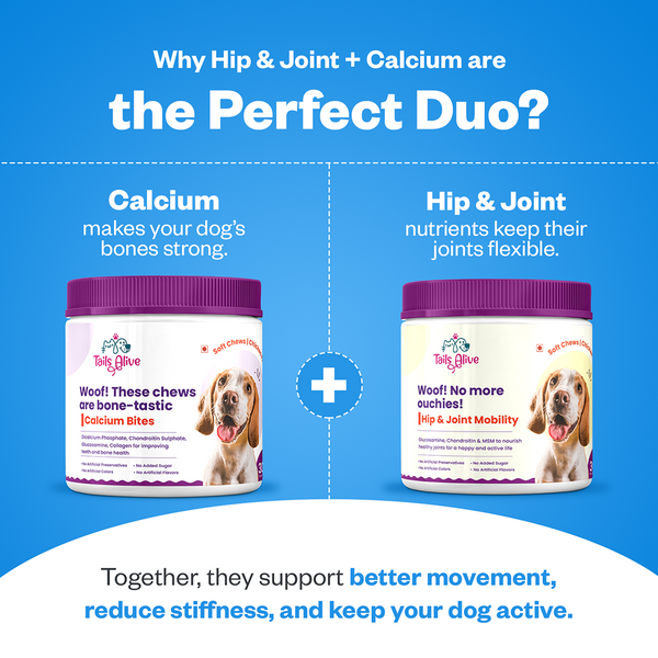 TailsAlive Hip & Joint and Calcium Chicken Flavor Soft Chews Supplements Combo for Dogs