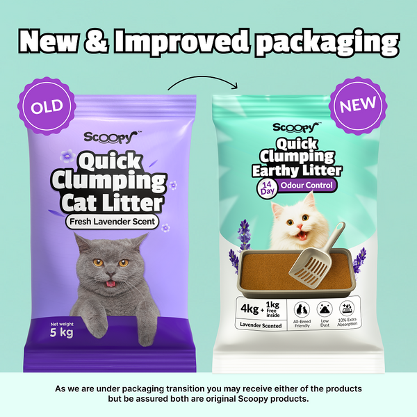 Scoopy Cat Litter | Lavender Scented | 100% Natural Indian Brown Sand (10kg)
