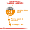 Royal Canin Hair & Skin Care and Hairball Care Adult Cat Dry Food Combo Cats- Dry food Royal Canin