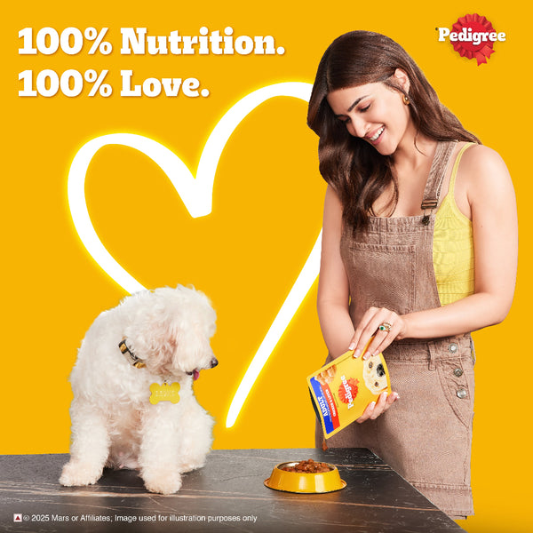 Pedigree Roasted Lamb Flavour Chunks in Gravy Adult Dog Wet Food