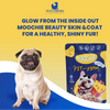 Moochie Beauty Fit and Firm Casserole with Lamb Gravy Adult Dog Wet Food Dogs-Wet Food Moochie