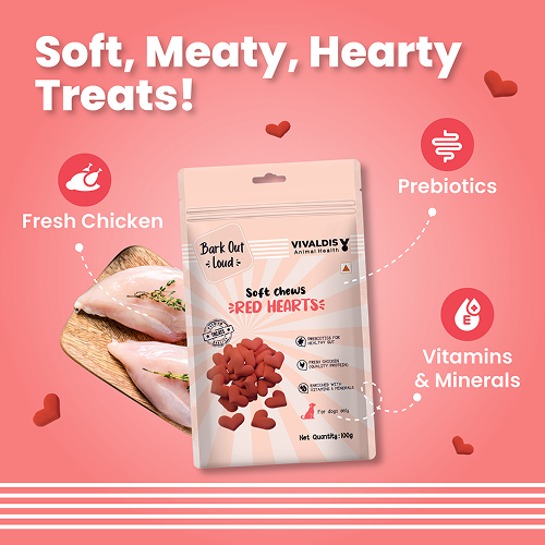 Bark Out Loud by Vivaldis Red Hearts Spanish Dog Treats