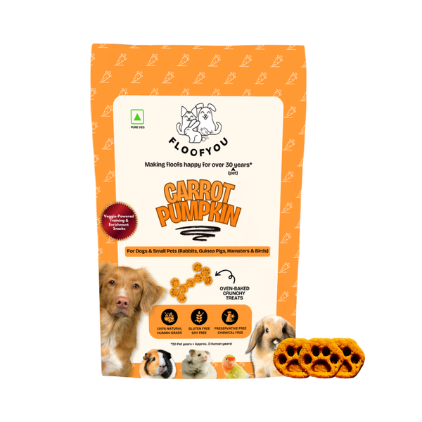 FloofYou Oven Baked Carrot Pumpkin Small Animal Treats