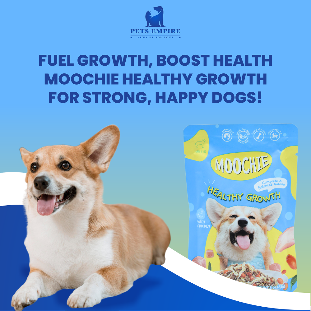 Moochie Healthy Growth Casserole with Chicken Gravy Puppy Dog Wet Food Dogs-Wet Food Moochie