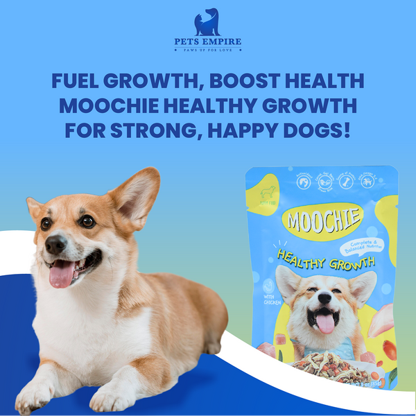 Moochie Healthy Growth Casserole with Chicken Gravy Puppy Dog Wet Food