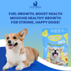 Moochie Healthy Growth Casserole with Chicken Gravy Puppy Dog Wet Food Dogs-Wet Food Moochie