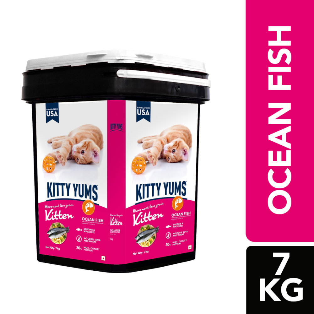 Kitty Yums Ocean Fish Kitten (1 to 12 Months) Cat Dry Food