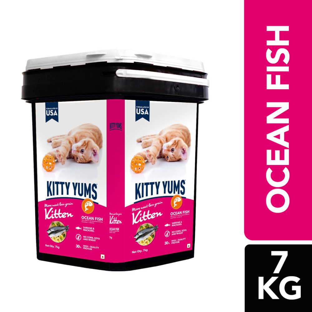 Kitty Yums Ocean Fish Kitten (1 to 12 Months) Cat Dry Food Cats- Dry food Kitty Yums 7kg (Free Container)