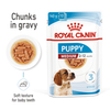 Royal Canin Medium Starter Dry Food for Medium Breed Dog and Puppies and Medium Puppy Dog Wet Food Combo Exclusive Combo Royal Canin