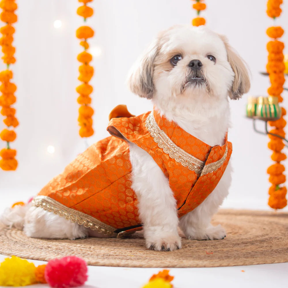 Pet Set Go Kurta with Bowtie for Dogs (Orange) Dogs-Clothing & Accessories Pet Set Go Dropship