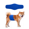 KUTKUT Diapers for Male Dogs (Blue) Dogs-Health & Wellness KUTKUT Dropship