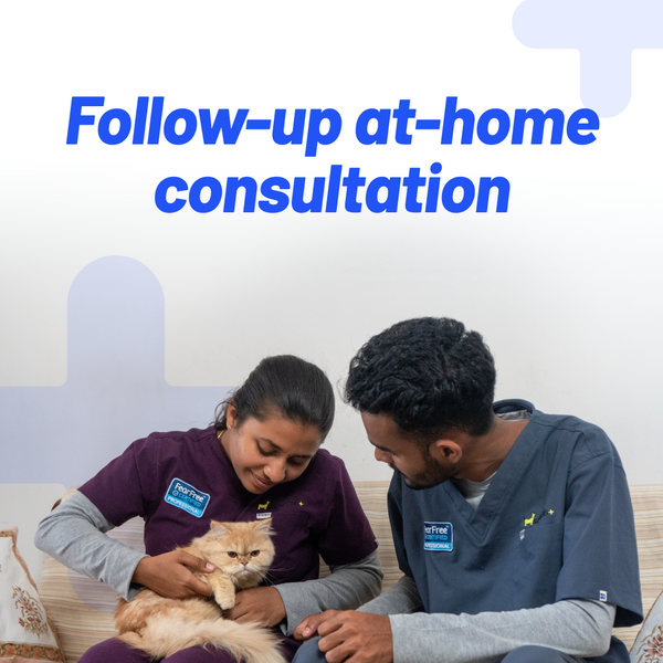 Follow-up Consultation @ Home