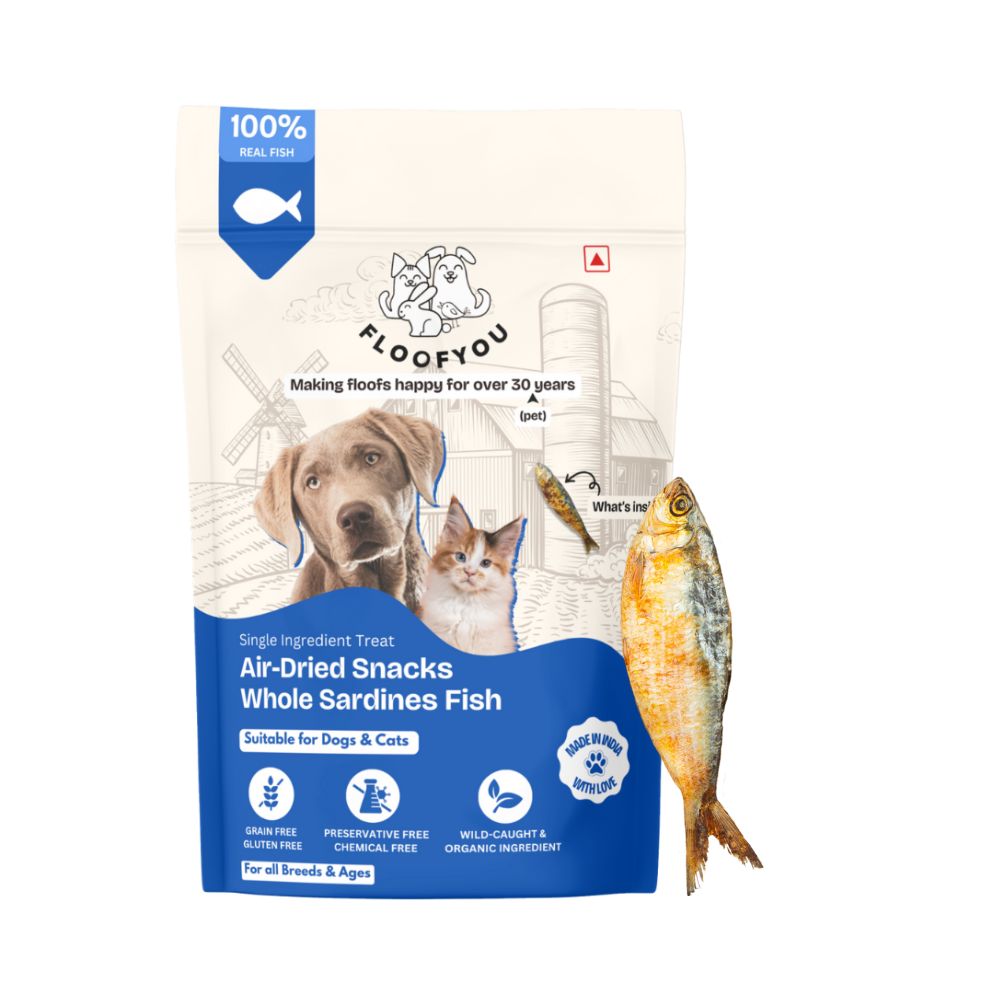 FloofYou Air Dried Whole Sardines Fish Dog & Cat Treats Dog Treats + Others FloofYou 4pcs