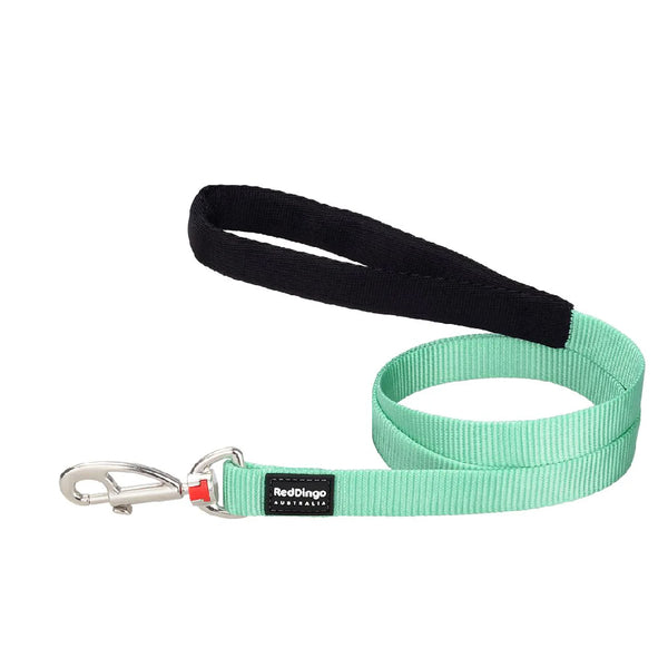 Red Dingo Classic Leash For Dogs (Pastel Green)