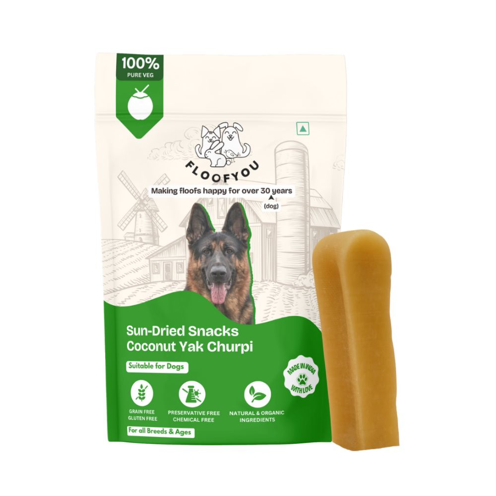 FloofYou Sun Dried Coconut Yak Churpi Chew Dogs & Cats Treat Dog Treats + Others FloofYou 2pcs