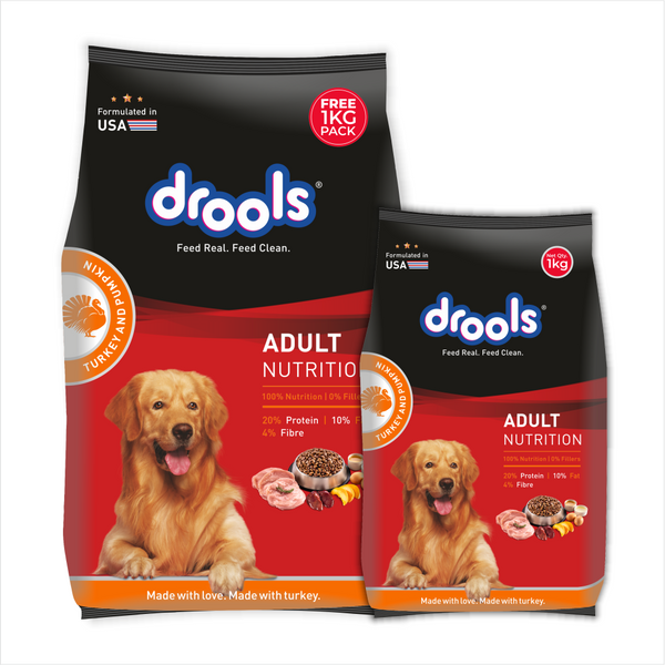 Drools Turkey and Pumpkin Adult Dog Dry Food