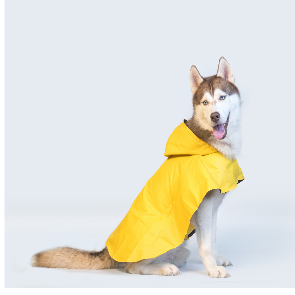 Pet Set Go Cape Style Raincoat for Dogs (Yellow)