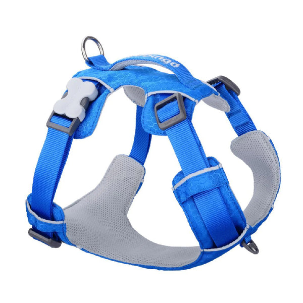Red Dingo Sport Harness for Dogs (Electric Blue)