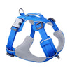 Red Dingo Sport Harness for Dogs (Electric Blue) Dogs-Collar, Leashes, harnesses Red Dingo Dropship S