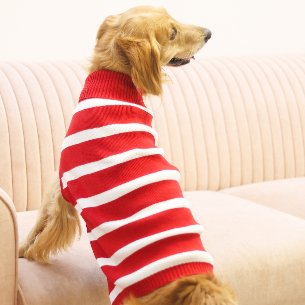 Pet Set Go Striped Sweater for Dogs (Red)
