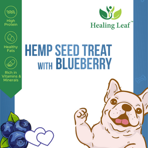 Healing Leaf Hemp Blueberry Dog Treats