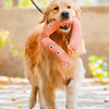 Pet Set Go Sausage Plush Toy for Dogs (Brown) Dogs-Toys Pet Set Go Dropship 28cm
