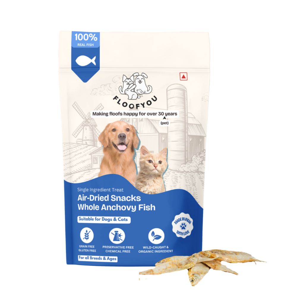 FloofYou Air Dried Whole Anchovy and Sardines Fish Dog and Cat Treats Combo Dog Treats + Others FloofYou