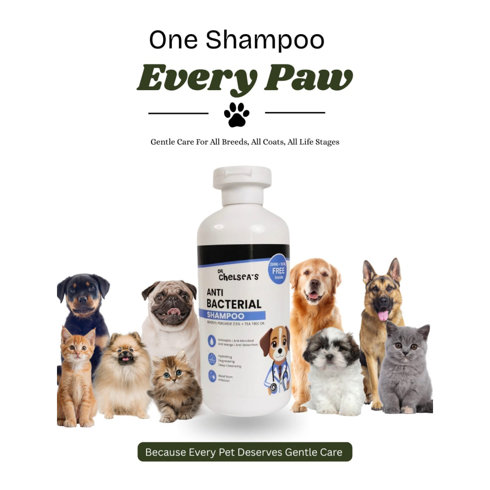 Dr. Chelsea’s Anti Bacterial Shampoo for Dogs & Cats Both-Grooming Supplies Dr. Chelsea's Dropship
